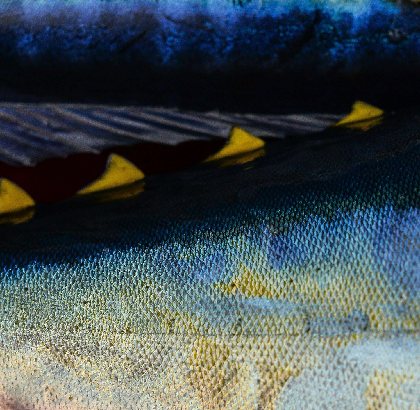 Premium Fish Oil